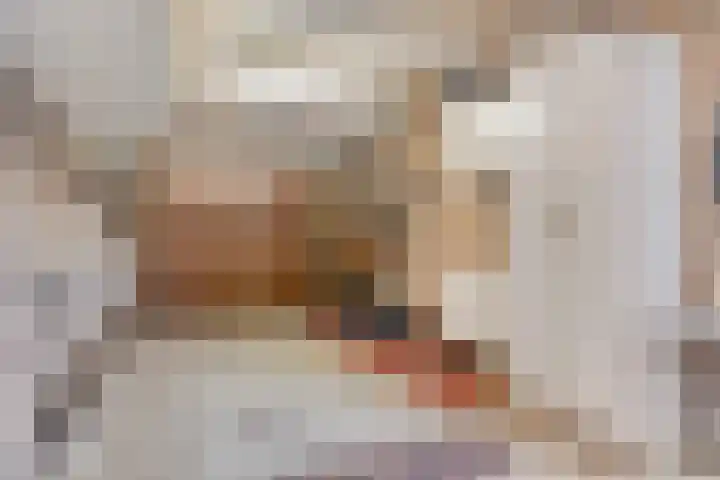 Boomweidelaan 61 Schore thumbnail 36