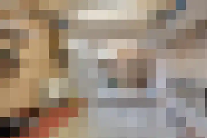 Boomweidelaan 61 Schore thumbnail 37
