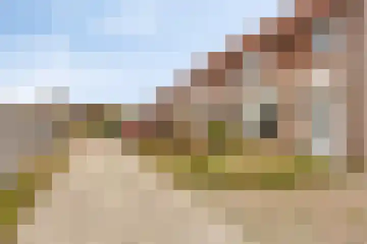 Boomweidelaan 61 Schore thumbnail 38