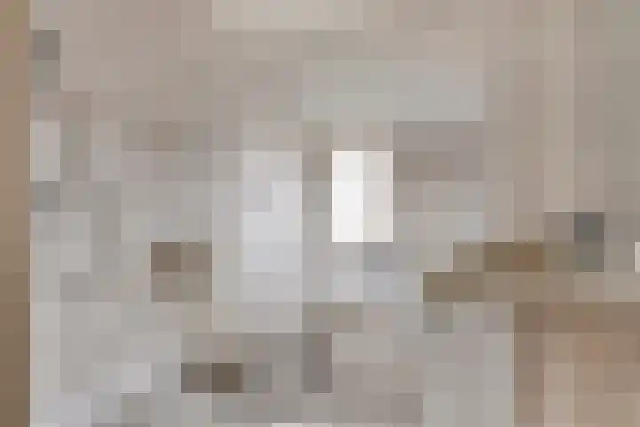 Boomweidelaan 61 Schore thumbnail 4