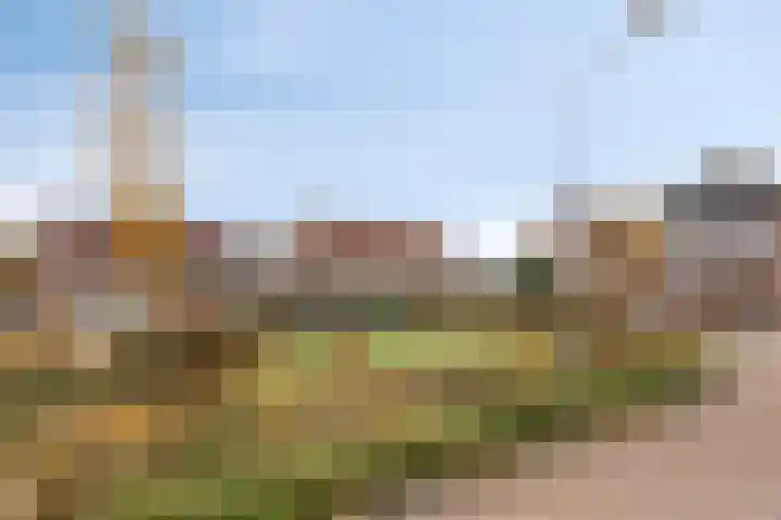 Boomweidelaan 61 Schore thumbnail 40