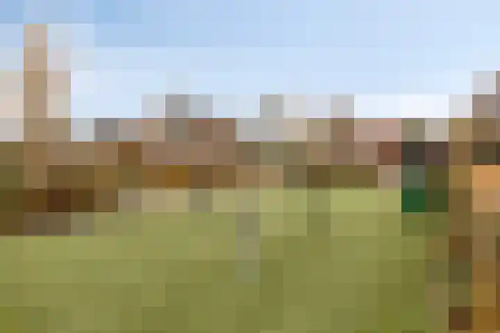 Boomweidelaan 61 Schore thumbnail 41