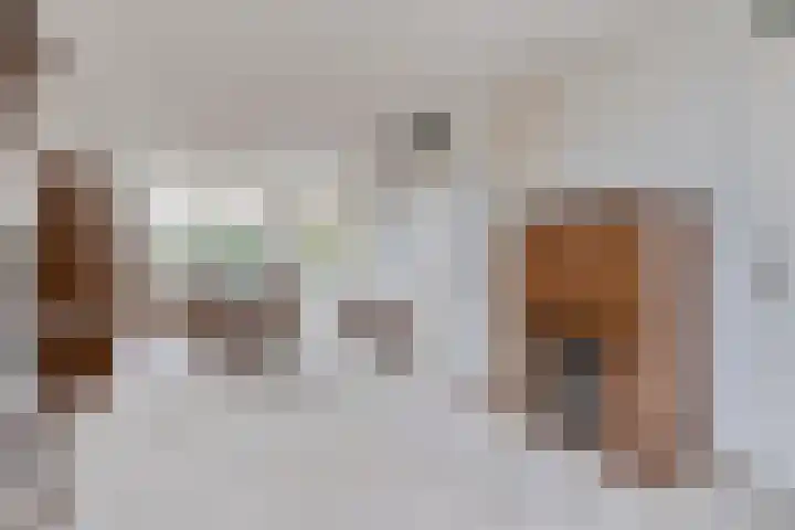 Boomweidelaan 61 Schore thumbnail 7
