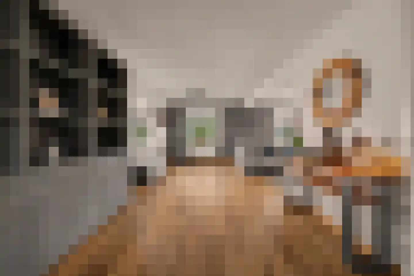 Boomweidelaan 67 Schore thumbnail 13
