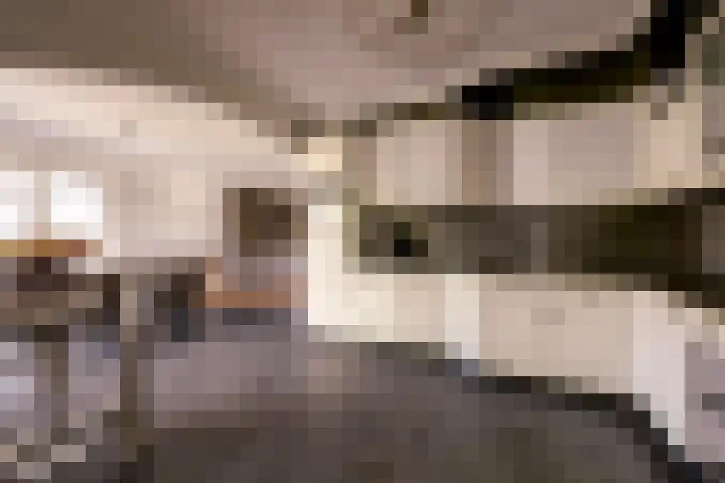Boomweidelaan 67 Schore thumbnail 22