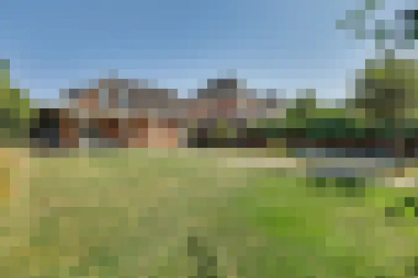 Boomweidelaan 67 Schore thumbnail 44