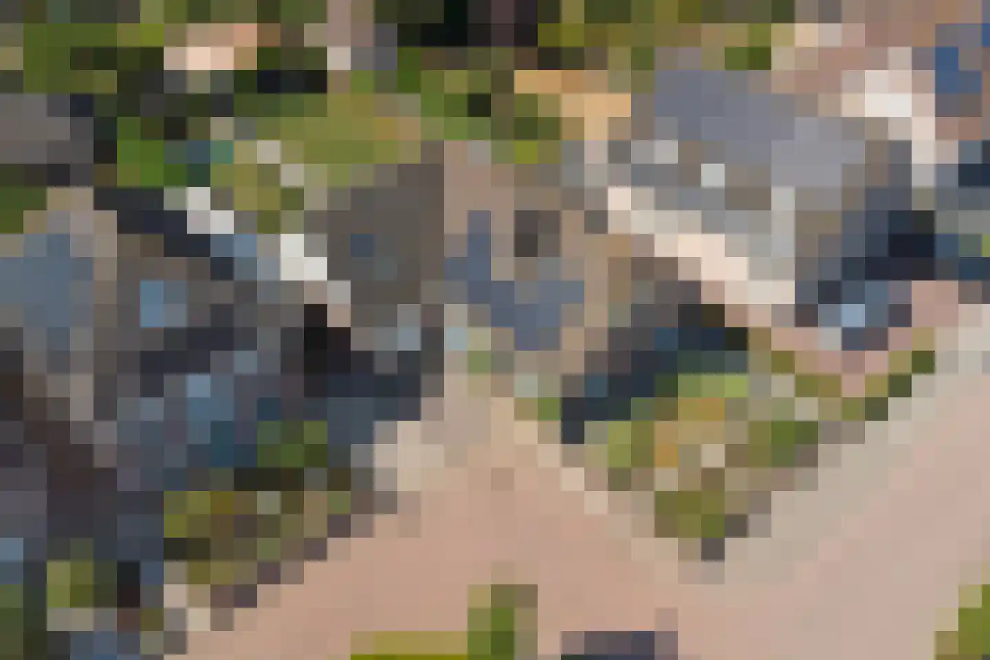 Boomweidelaan 67 Schore thumbnail 49