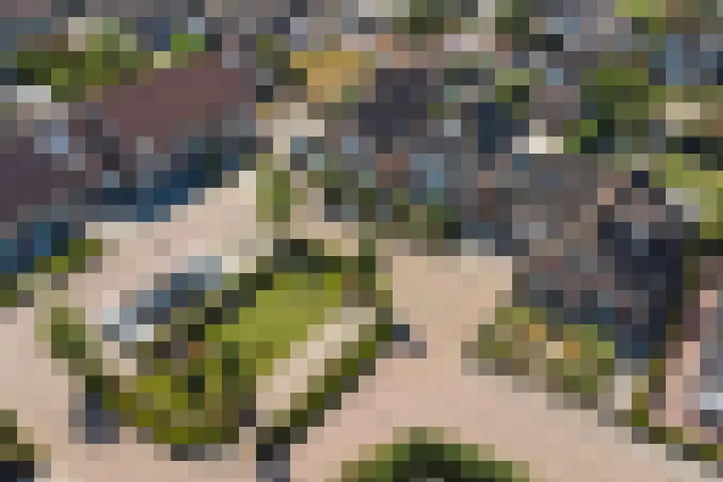 Boomweidelaan 67 Schore thumbnail 51