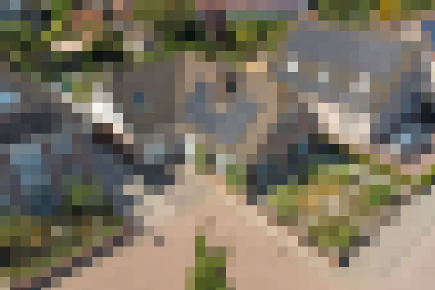 Boomweidelaan 67 Schore thumbnail 54