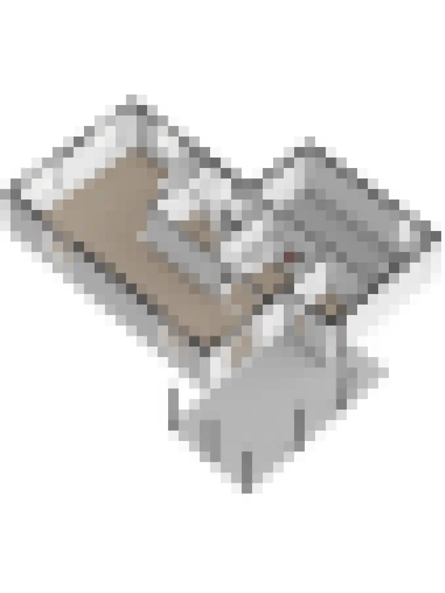 Boomweidelaan 67 Schore thumbnail 61