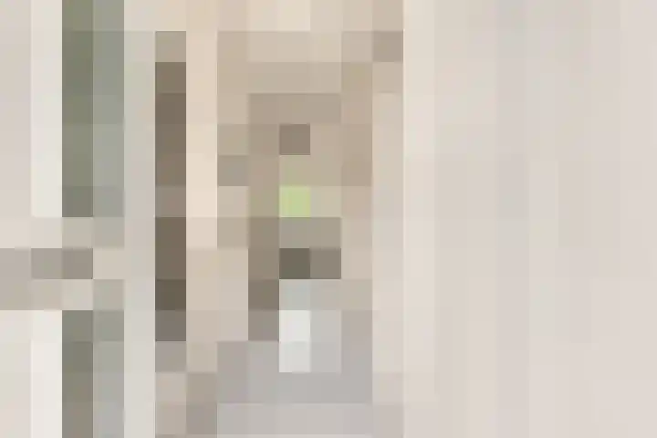 Boomweijdt 7 Heiloo thumbnail 10