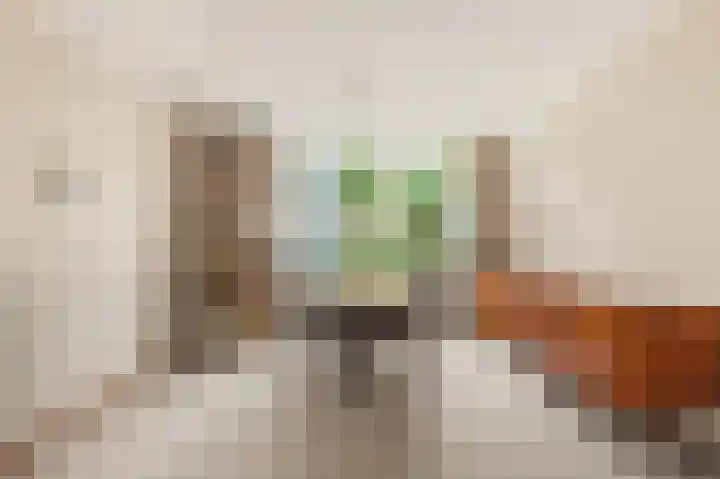 Boomweijdt 7 Heiloo thumbnail 13
