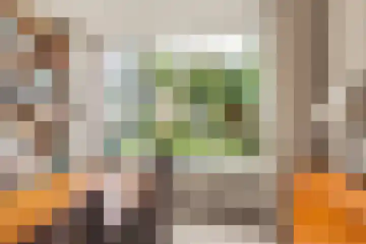 Boomweijdt 7 Heiloo thumbnail 14