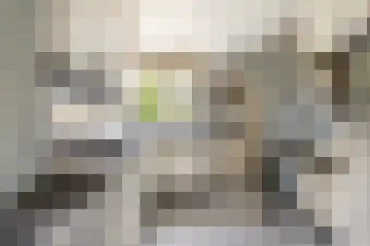 Boomweijdt 7 Heiloo thumbnail 17