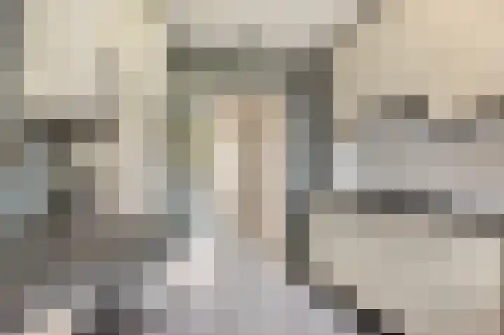 Boomweijdt 7 Heiloo thumbnail 18