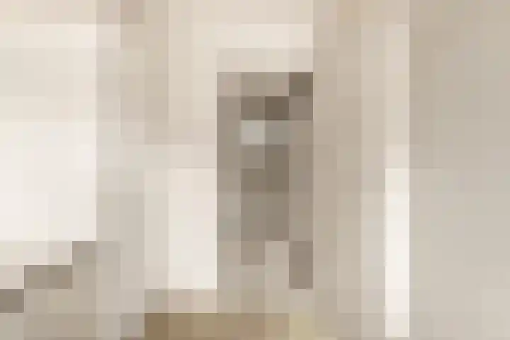 Boomweijdt 7 Heiloo thumbnail 24
