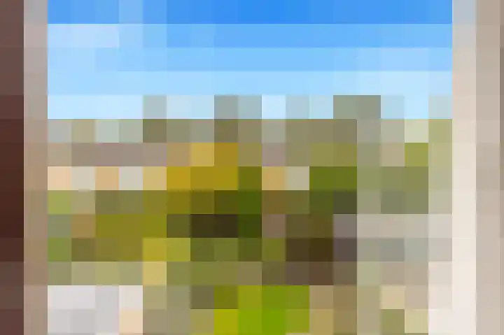 Boomweijdt 7 Heiloo thumbnail 26