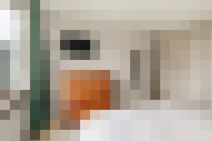Boomweijdt 7 Heiloo thumbnail 27