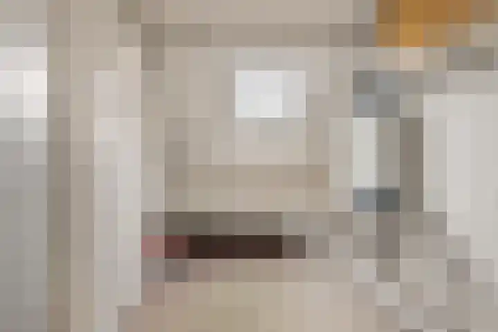 Boomweijdt 7 Heiloo thumbnail 34