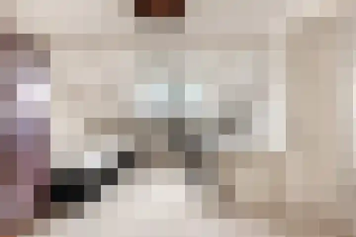 Boomweijdt 7 Heiloo thumbnail 35