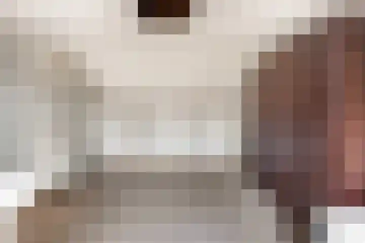 Boomweijdt 7 Heiloo thumbnail 36