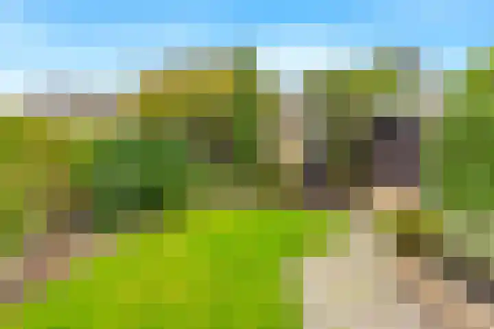 Boomweijdt 7 Heiloo thumbnail 38