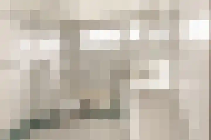 Boomweijdt 7 Heiloo thumbnail 4