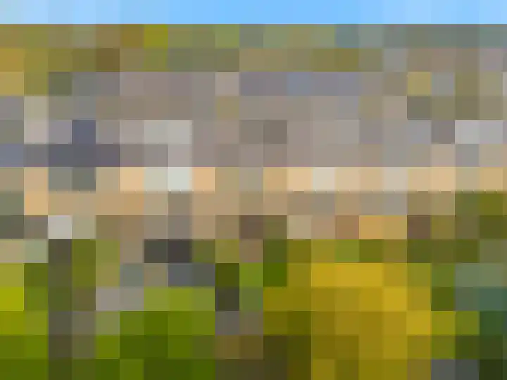 Boomweijdt 7 Heiloo thumbnail 42