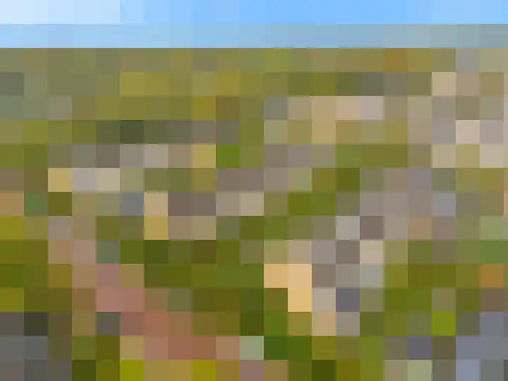 Boomweijdt 7 Heiloo thumbnail 43