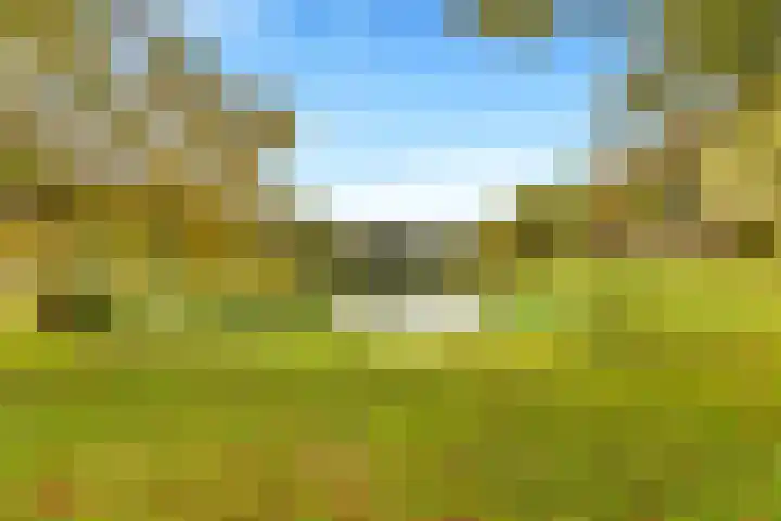 Boomweijdt 7 Heiloo thumbnail 44