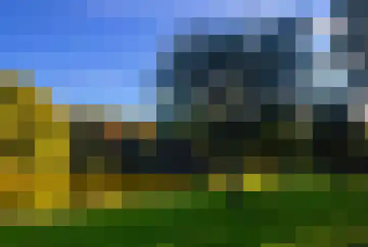 Boomweijdt 7 Heiloo thumbnail 45