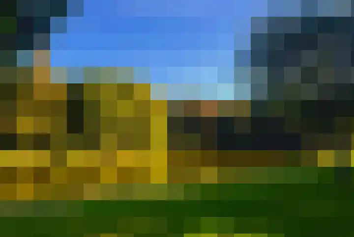 Boomweijdt 7 Heiloo thumbnail 46