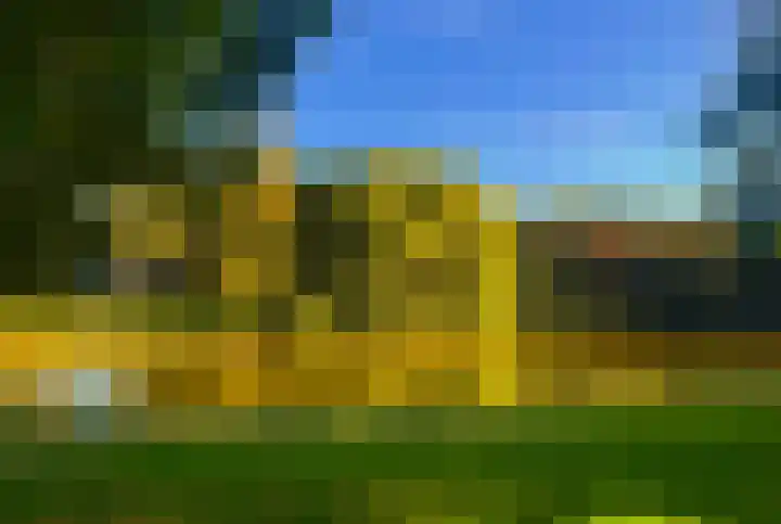 Boomweijdt 7 Heiloo thumbnail 47
