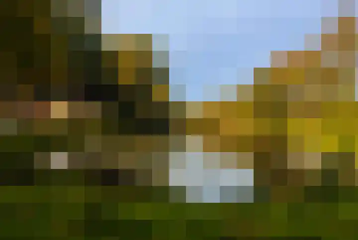 Boomweijdt 7 Heiloo thumbnail 48