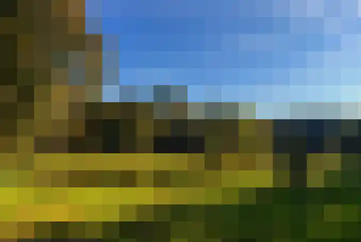 Boomweijdt 7 Heiloo thumbnail 49