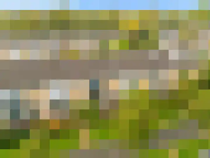 Boomweijdt 7 Heiloo thumbnail 6