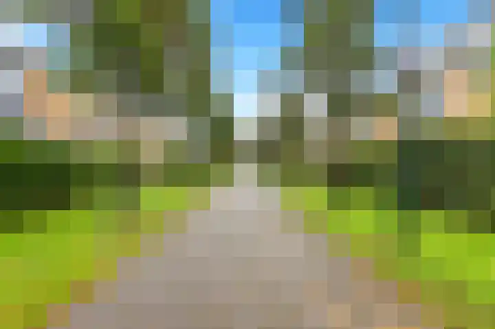 Boomweijdt 7 Heiloo thumbnail 7