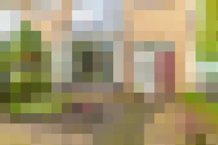 Boomweijdt 7 Heiloo thumbnail 8
