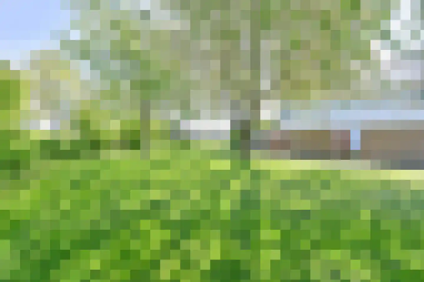 Boonackers 24 Emmen thumbnail 4
