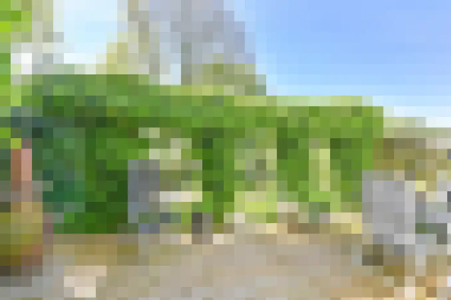 Boonackers 24 Emmen thumbnail 54