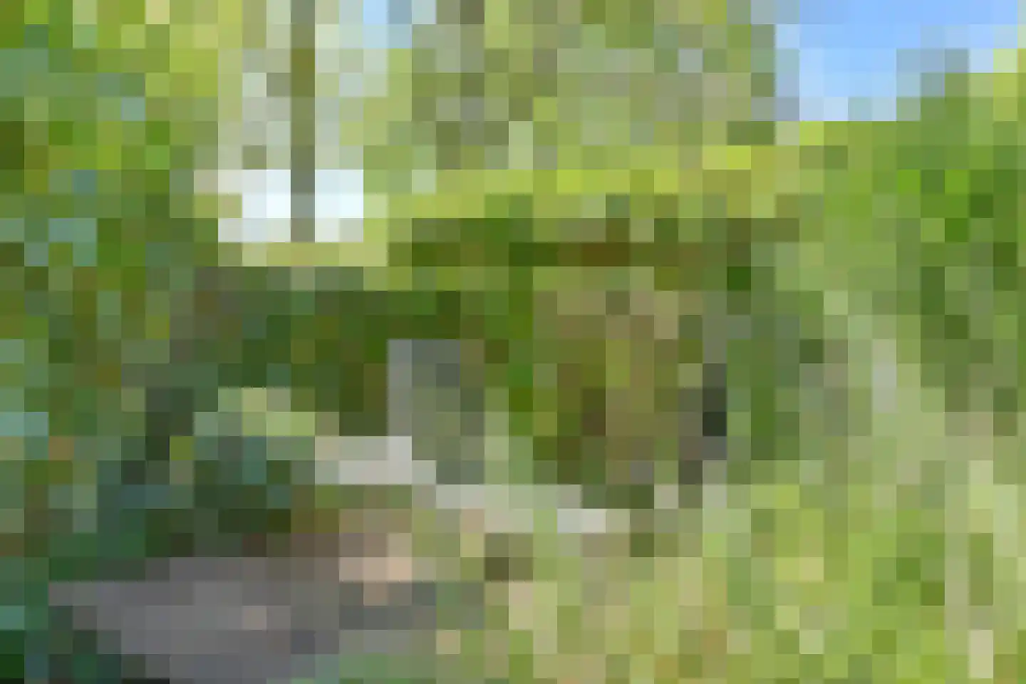 Boonackers 24 Emmen thumbnail 57