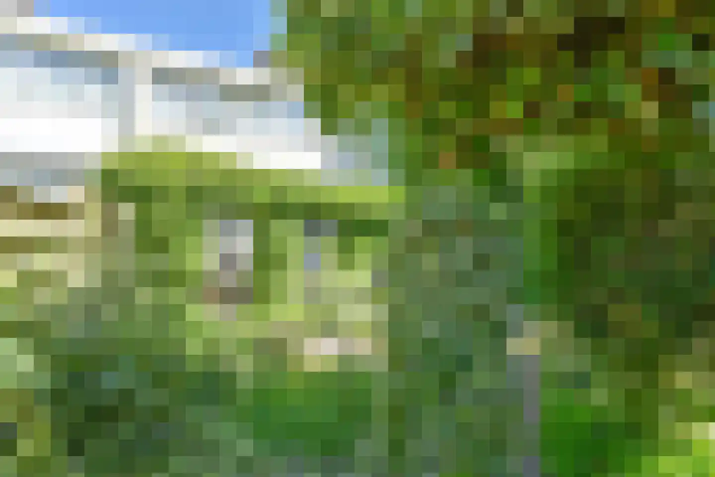 Boonackers 24 Emmen thumbnail 59