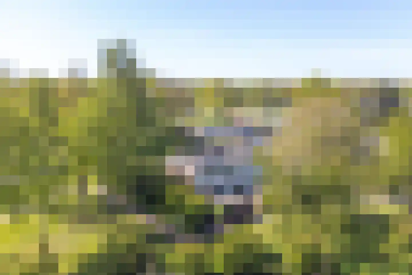 Boonackers 24 Emmen thumbnail 61