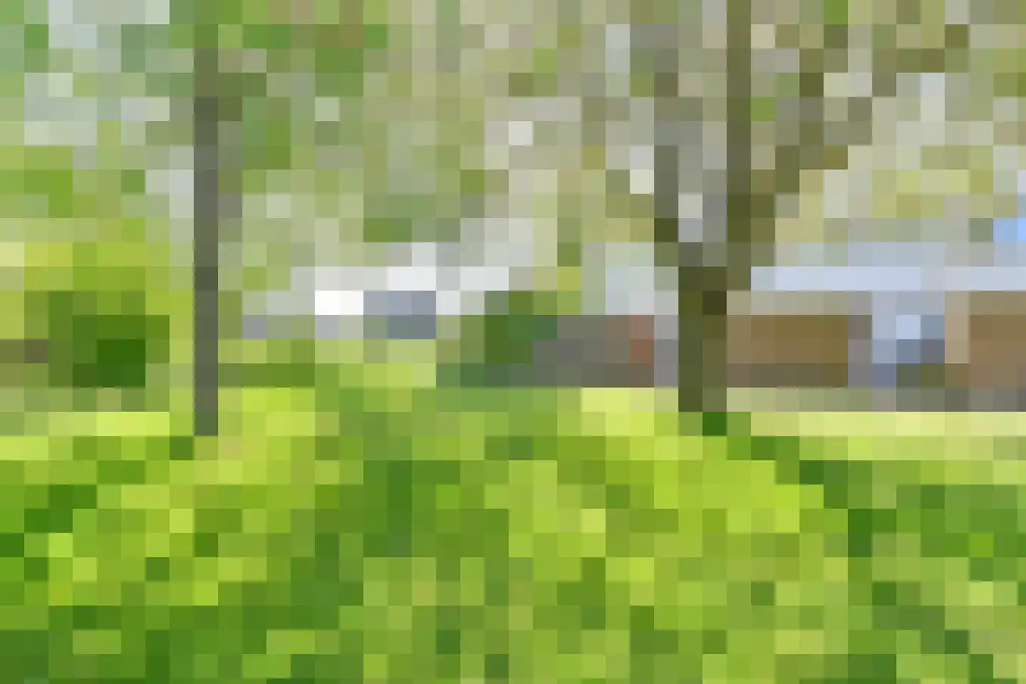 Boonackers 24 Emmen thumbnail 63