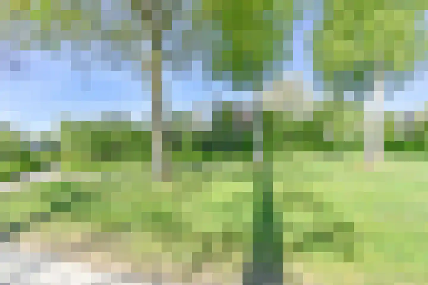 Boonackers 24 Emmen thumbnail 68