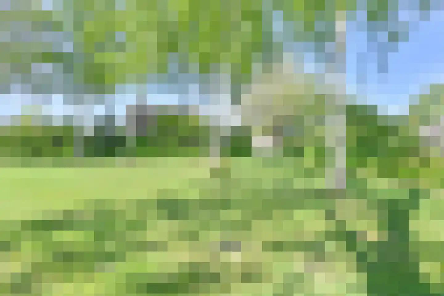 Boonackers 24 Emmen thumbnail 69