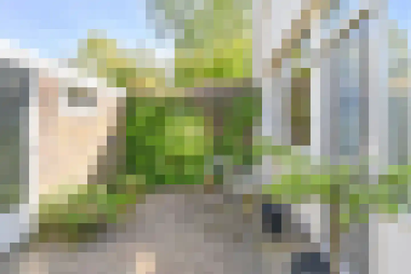 Boonackers 24 Emmen thumbnail 7