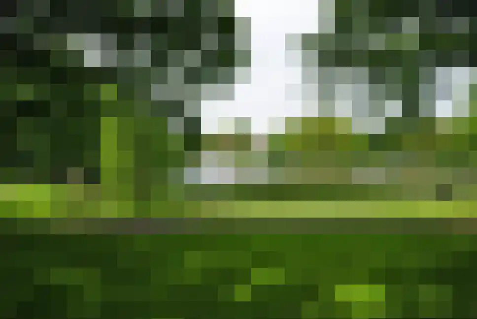 Boonackers 34 Emmen thumbnail 45