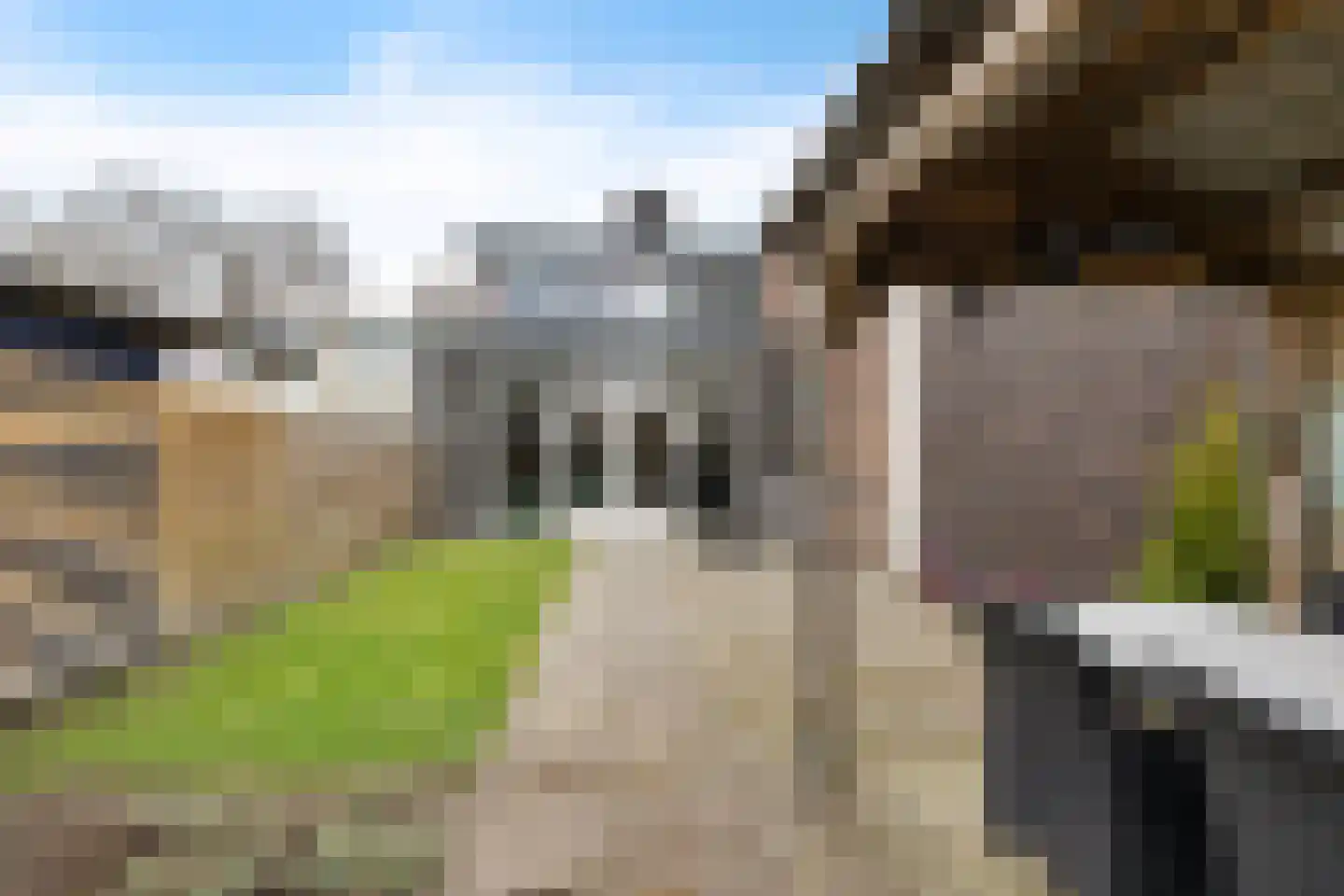 Boonackers 34 Emmen thumbnail 9