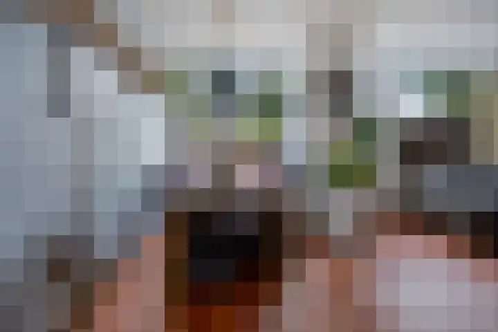 Boonackers 38 Emmen thumbnail 13